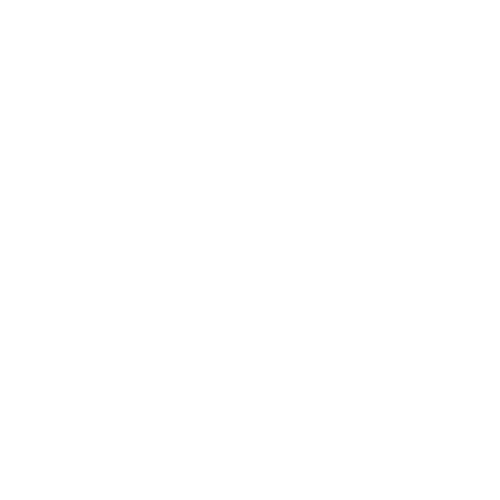 Syok logo